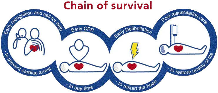 Chain of Survival