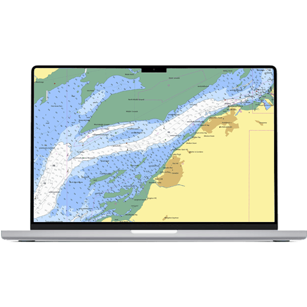 Laptop Chart